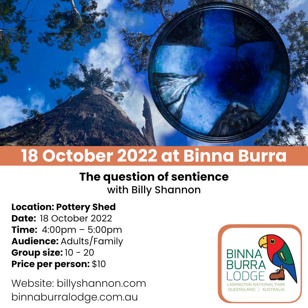 Billy Shannon at Binna Burra Lodge, 2022
